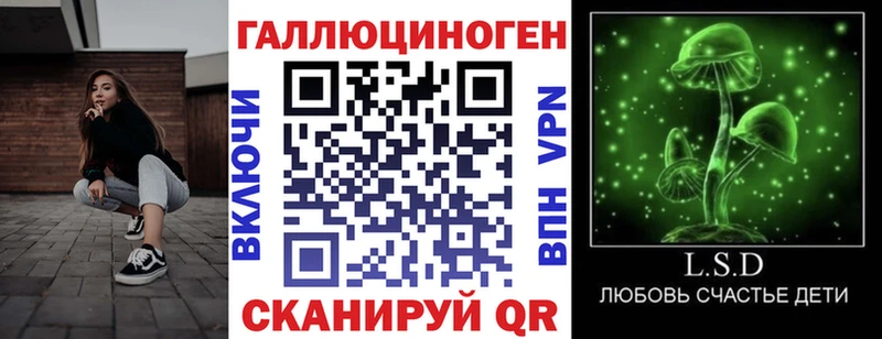 Купить где Чехов Галлюциногенные грибы GOLDEN TEACHER